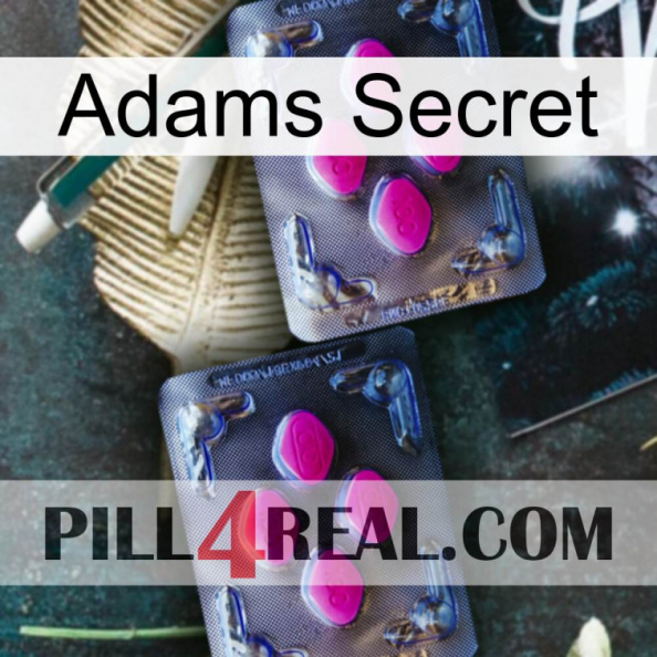 Adams Secret 01.jpg